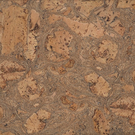 333v NN (CM3 333v NN)