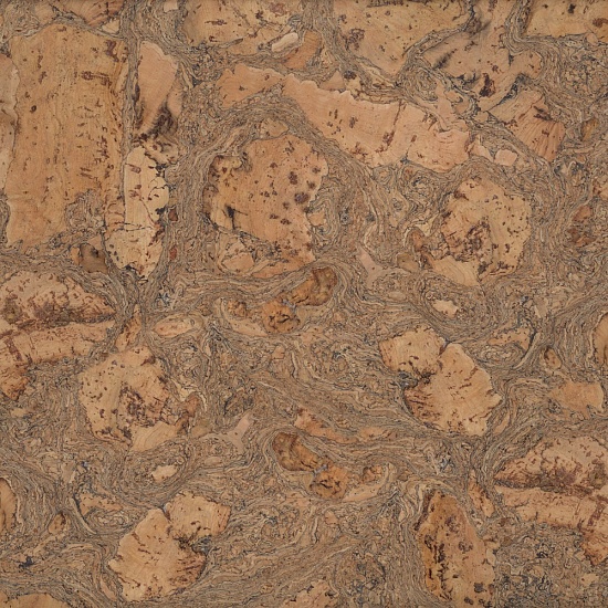 333v NN (CM3 333v NN)