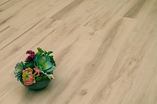 Груша Хиллари NOX-1564