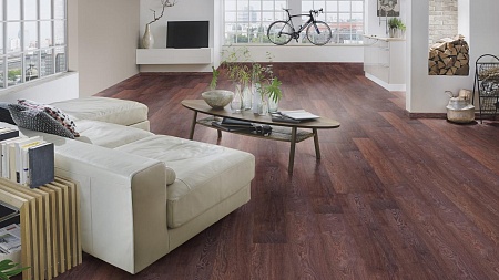 8262 Дуб Барди