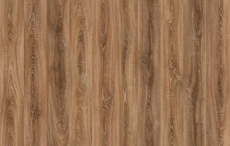 FP562 Дуб Беринг