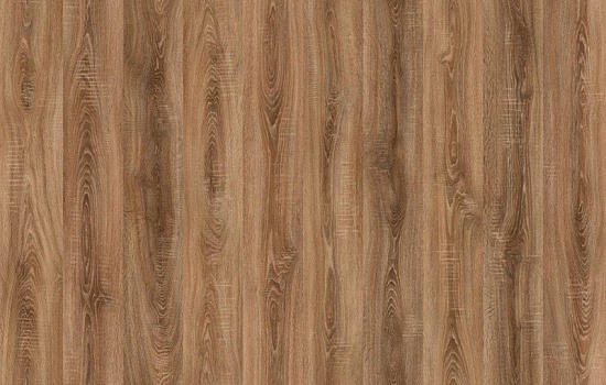 FP562 Дуб Беринг