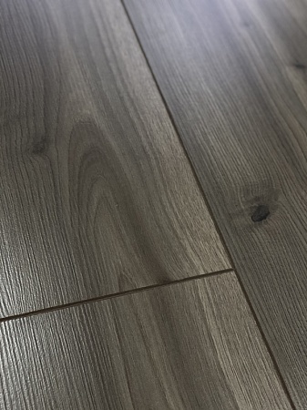 Дуб Скальдис