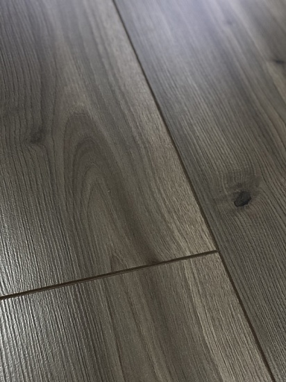 Дуб Скальдис