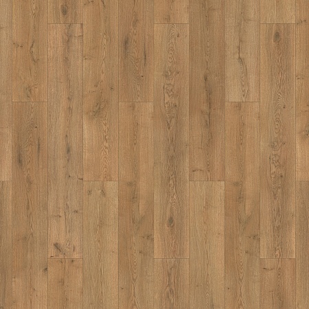 Дуб Грэйв 504016068