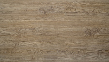 Дуб Дымчатый 5503