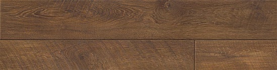 Колумб 504415023