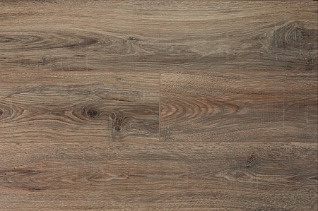 JT204 Дуб Лендава