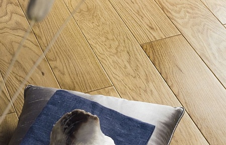 Дуб Askania (0,99 м2)