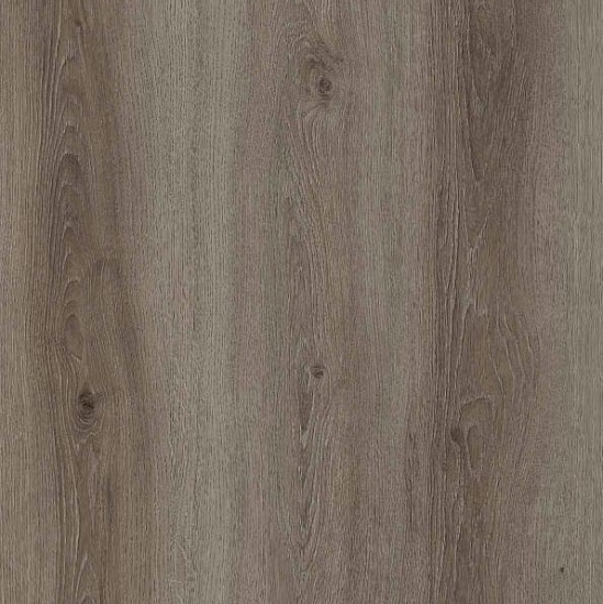 Дуб европейский FP953