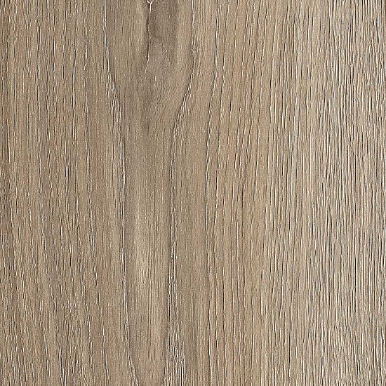 FP038 Дуб Луанда