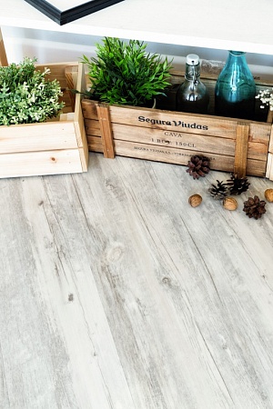 ЕСО 3-6 АКАЦИЯ