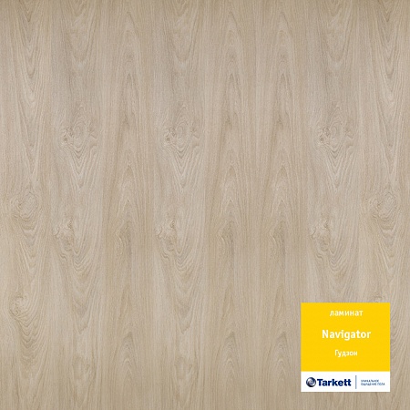 Гудзон 504415037