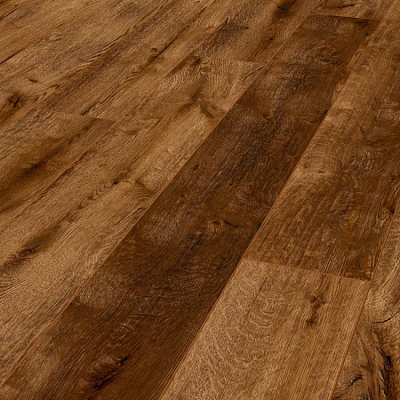 Дуб Бухта Контрабандистов K 281