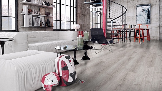 Платан Impresion D 3334