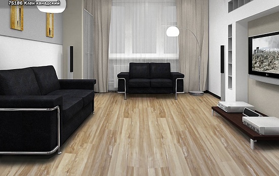 Клен канадский 75186