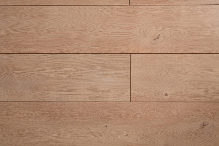 Ясень Колосус ID 66