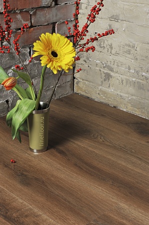 Дуб Брага FF-1335