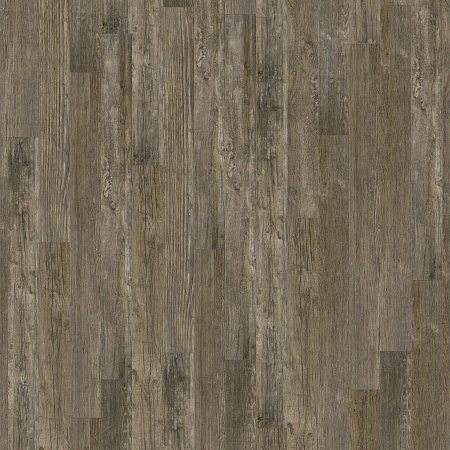 Ренуар 504425005