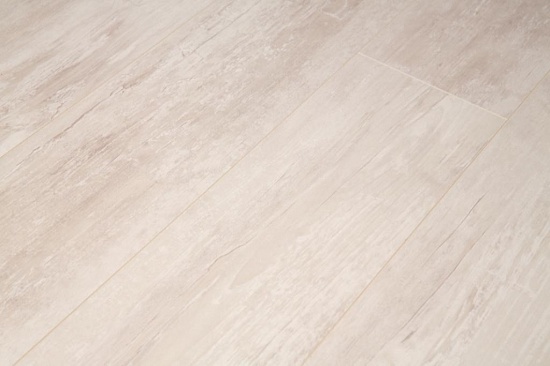 Олива Галатея ID69