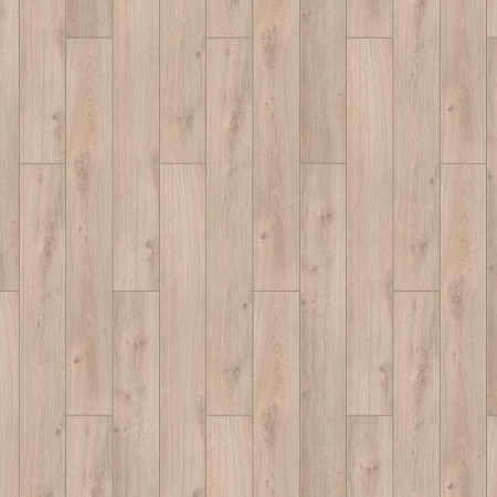 Виндзор 504442005