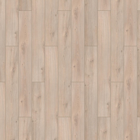 Виндзор 504442005