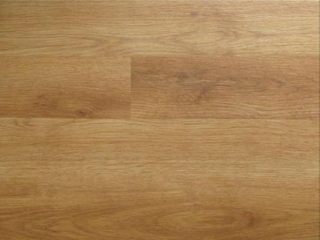 Дуб Романо Молодой