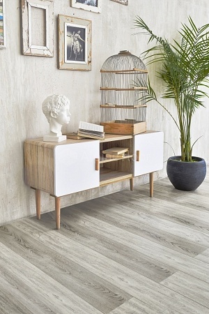 ECO 9-10 Шервудский лес