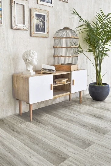 ECO 9-10 Шервудский лес