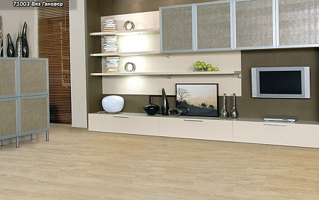 Вяз Гановер 71003