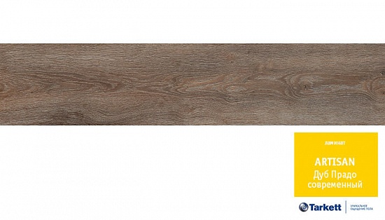 Дуб Прадо Современный 504002044