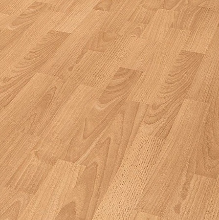 1604 Beech Orlando (Бук Орландо)