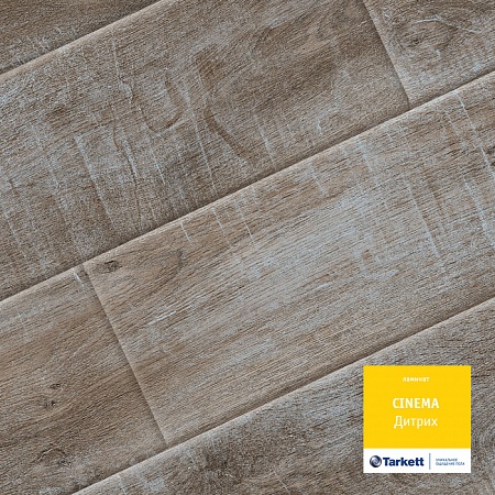 Дитрих 504108029