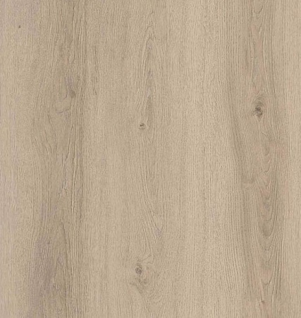 Дуб лунный FP951