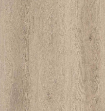 Дуб лунный FP951