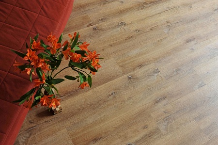 Дуб Марракеш NOX-1959