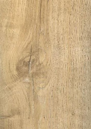 Baudelaire 504462104