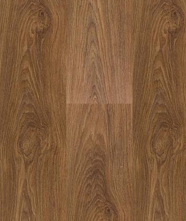 Кармен 504426004