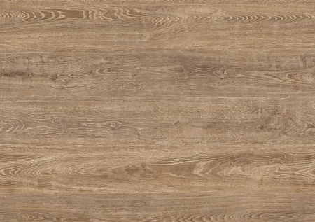Дуб Трентино D3478