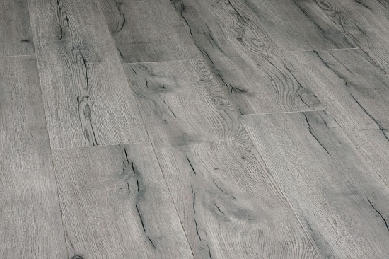 Дуб зимний 04331