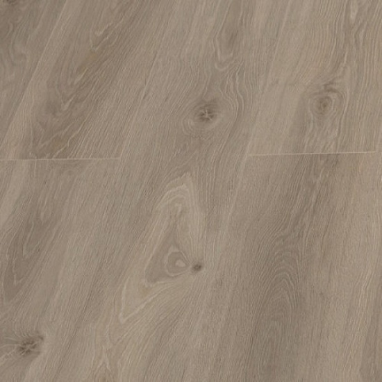 Дуб Лион D 3509