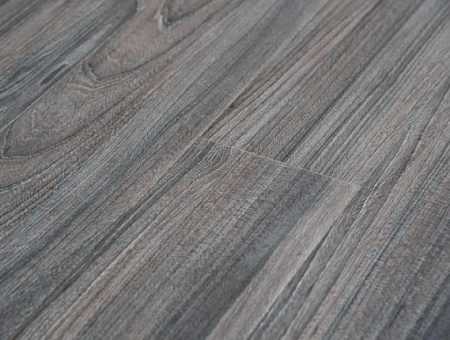 Вяз Гудзон 75356