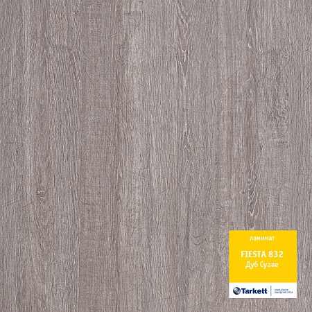 Дуб Суаве 504016053