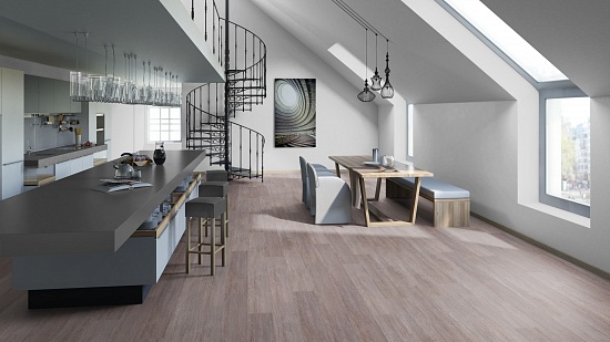 Дуб Суаве 504016053