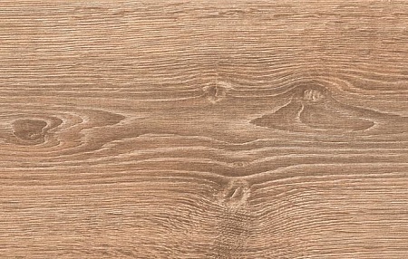 Дуб Умбра D2083