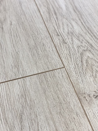 Дуб Силбери