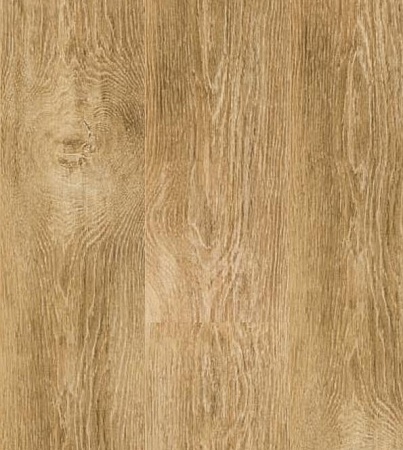 Гамлет 504426007