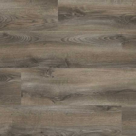 Дуб Нотте 37197 AV