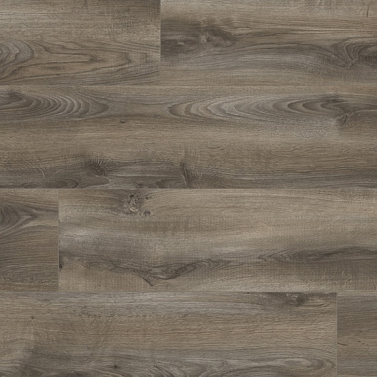 Дуб Нотте 37197 AV