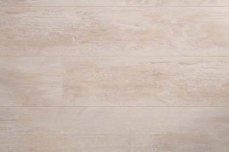 Олива Галатея ID69